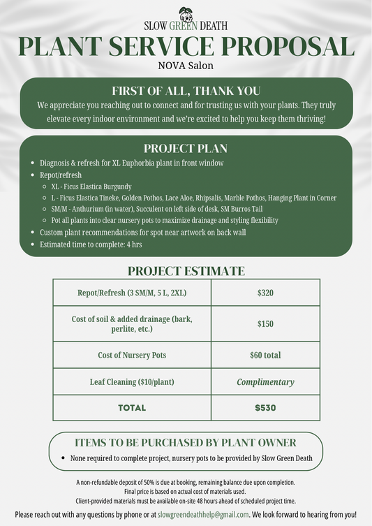 Plant Services - NOVA Salon